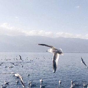 91㊙️片黄在线观看AI明星
