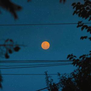 91㊙️片黄在线观看AI明星
